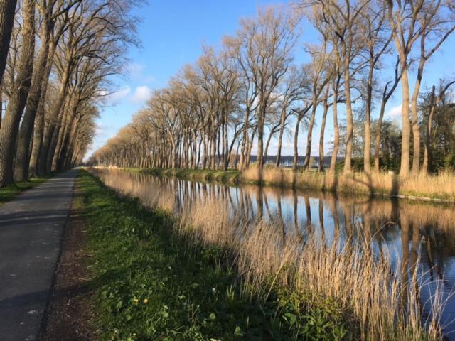 Vila Domus Damme Exteriér fotografie